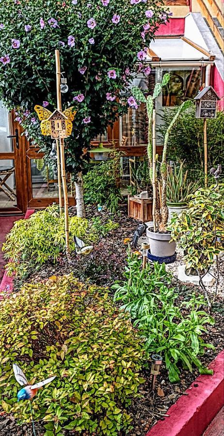 Bed & Breakfast Un Moment De Douceur Nancy